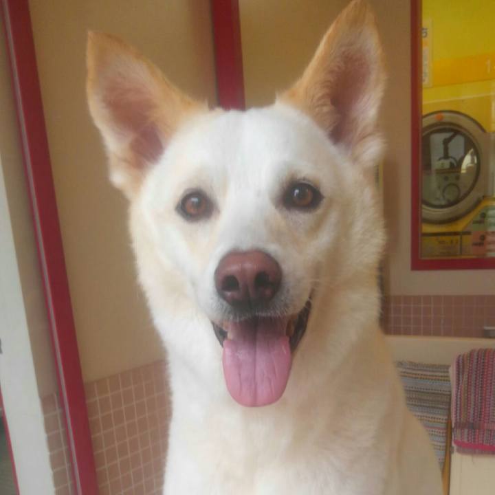 5161464c 9491 474e 87ad 05d2e8798742