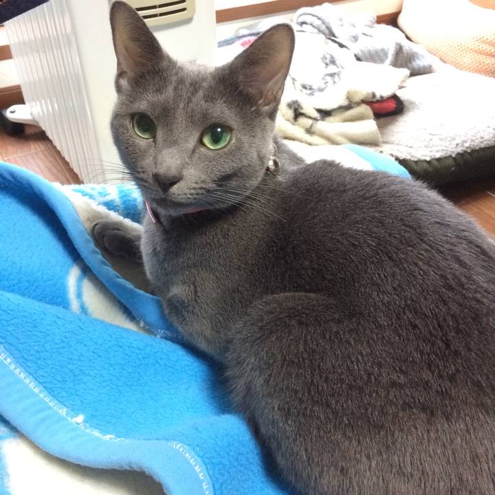 51616f14 c09c 4d35 bda1 8acd82267043