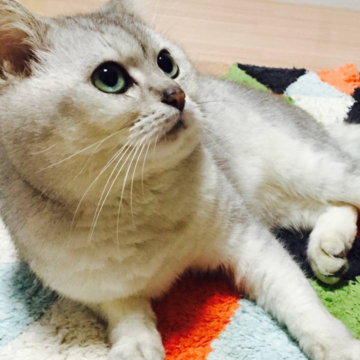 5161fa93 9420 4d39 b6a2 ace944da19e1