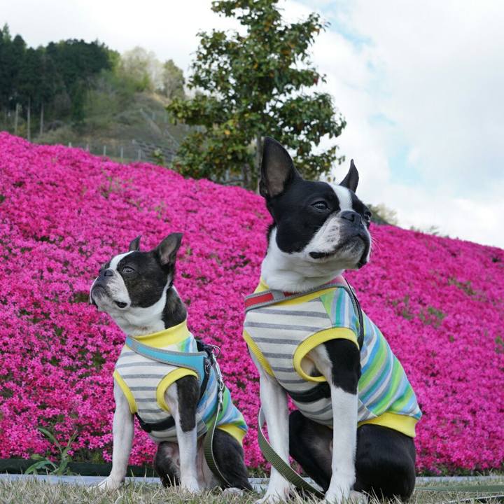 51620c50 6eeb 4bea 8968 8ba98bea1308