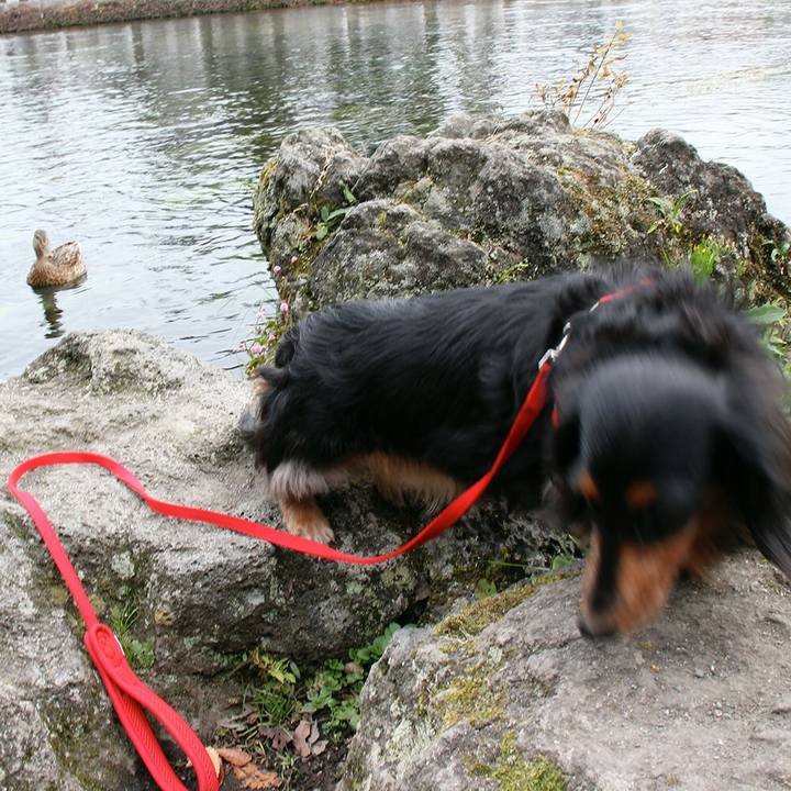 51638f56 a45f 4471 a793 6e010c1d0903