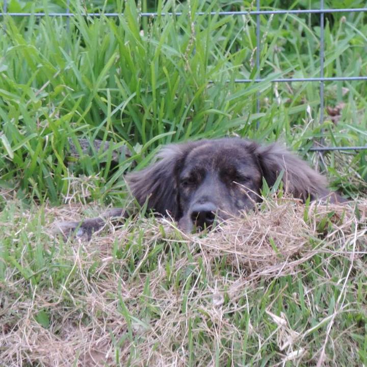 516394a2 fd45 4cda a65b 8c1c506486b6