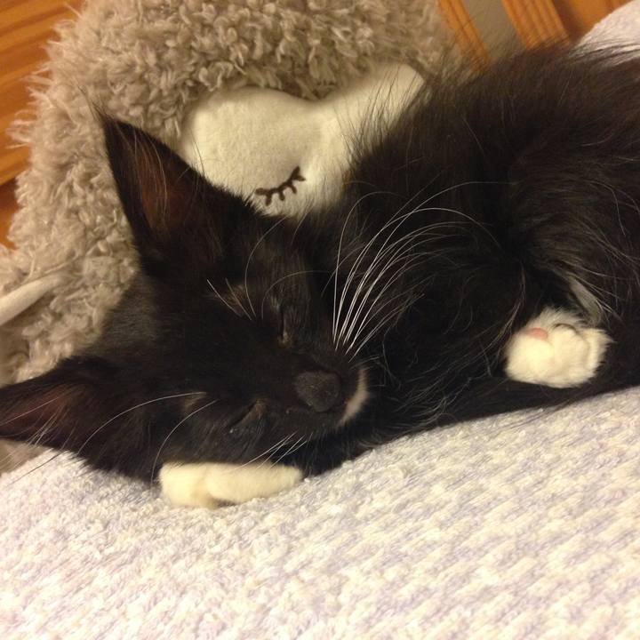 516481c5 d4c8 4b32 9136 ca79b9922d19