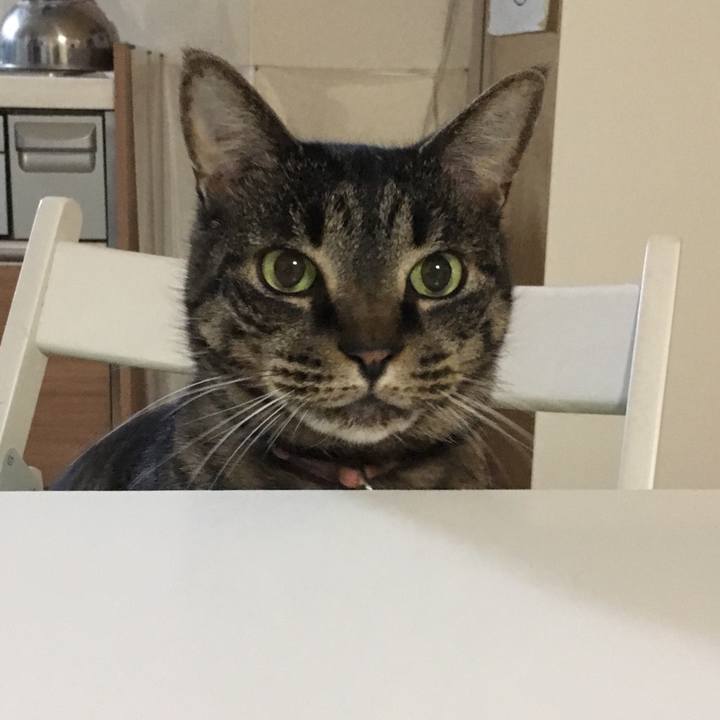 516562ca e5be 45f3 998c 67248c1e84af