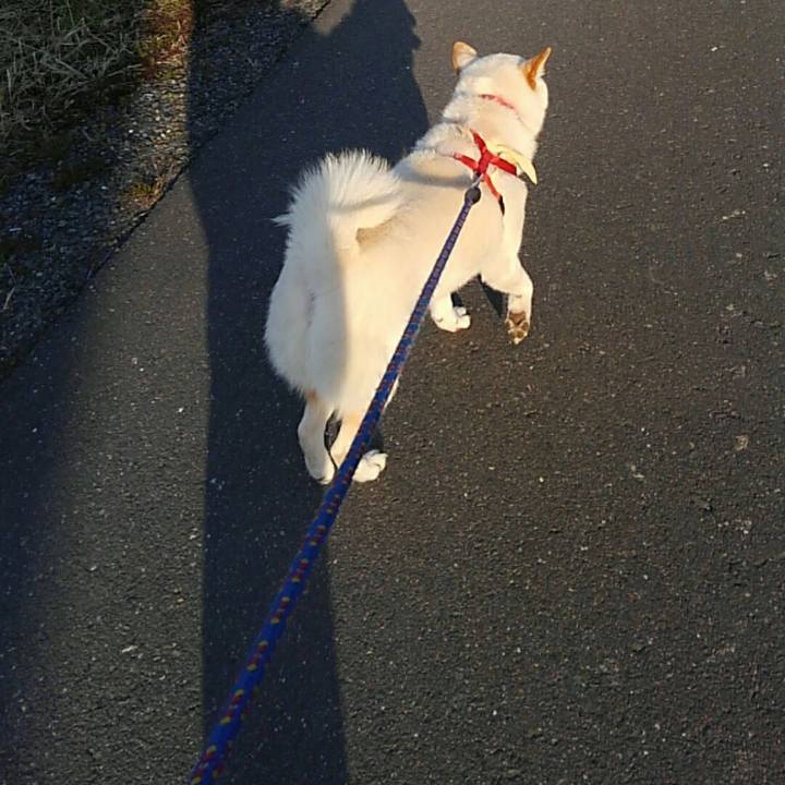 51658825 47f8 4fc6 b3fd 88dcfb5dd5f1