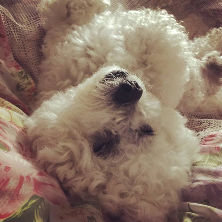 5165fcf3 2ace 4cb3 a1ac 150a8f75df1e