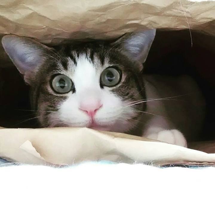 51663dda a56a 4221 b9d9 bb61343a0c70