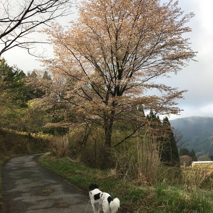 51664747 5c89 4336 bc14 d20a79d496cd