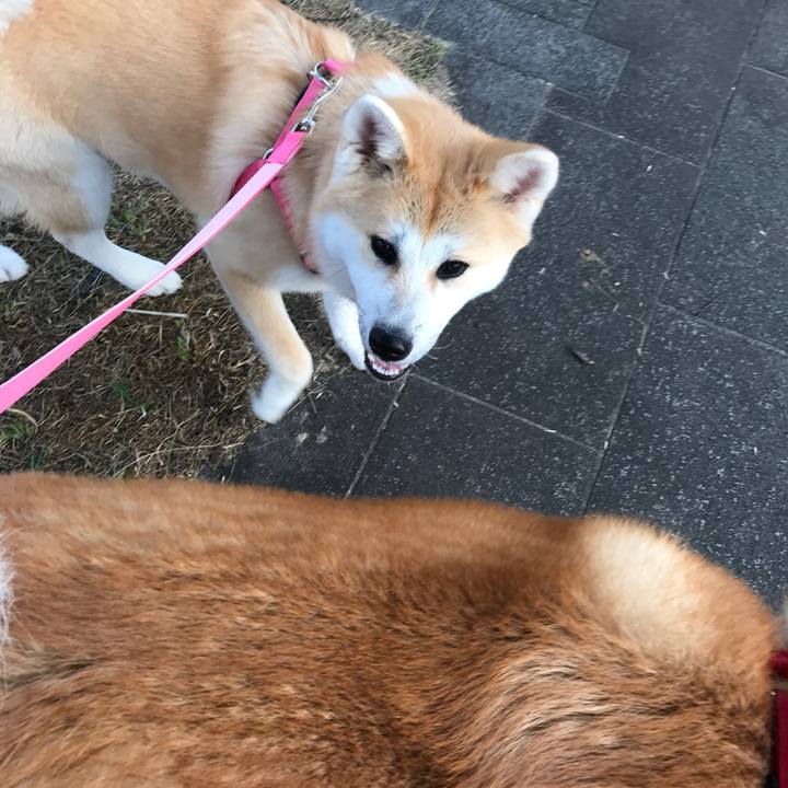 516708a2 0c22 4e87 b2c8 f15bc6937d65