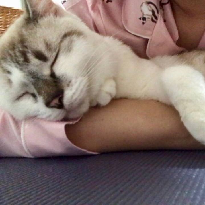 5167c284 268b 45b7 beed 3d155545c8ef