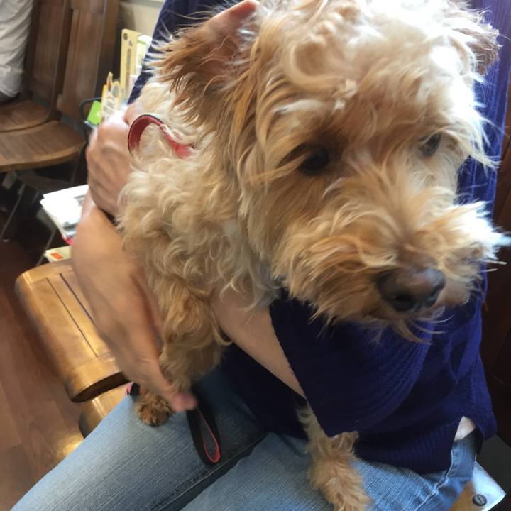 51686fa8 8555 4da4 8f73 0a375b60bb65