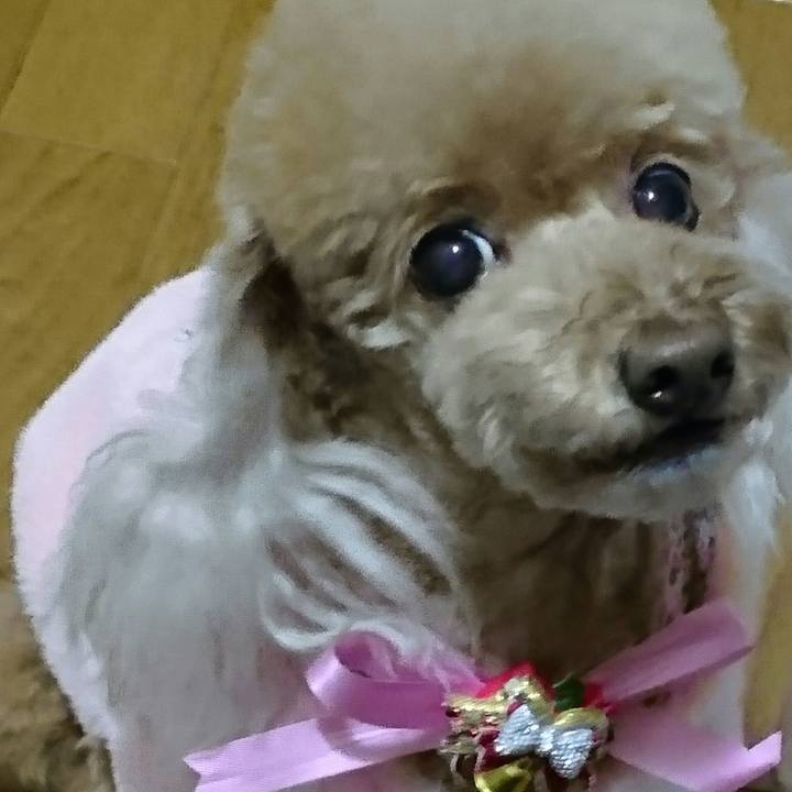 51689638 3488 4121 bd90 be3dd5ae61a3