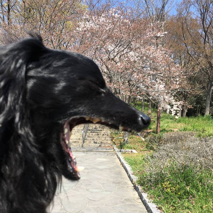 5168e780 98c6 41ce 90ef 927dc23e6f11