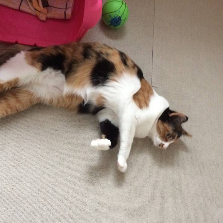 5169a405 091f 4a06 8f77 af3dd5d078b2