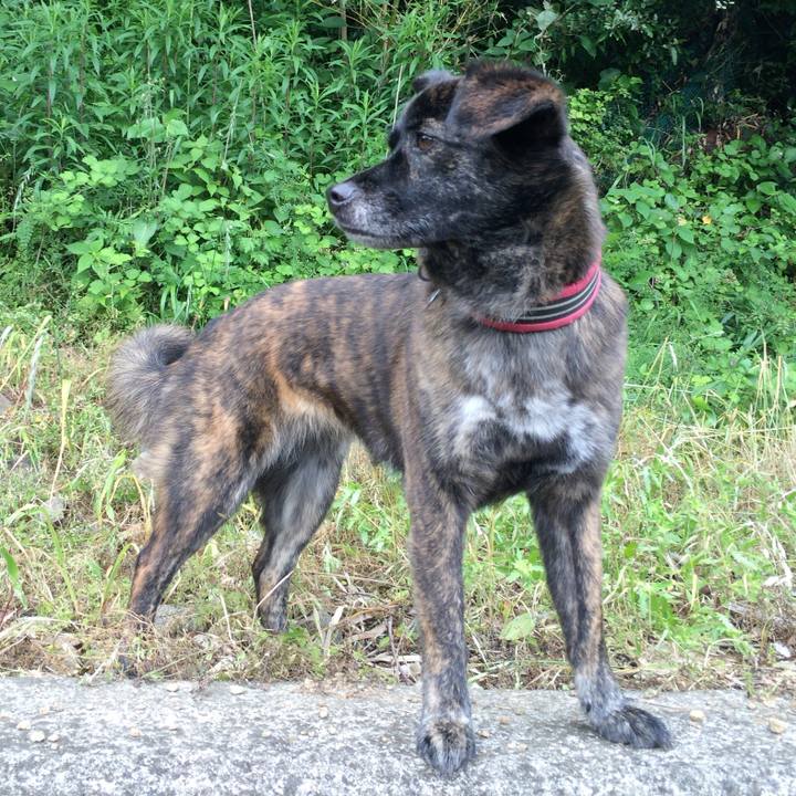 5169c8ff 64c9 4c9a b574 e1a53da38eb6