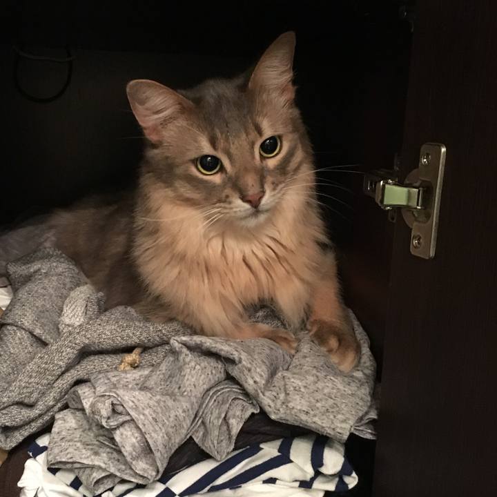 5169f141 6cad 4f30 bcc7 0910e6094900