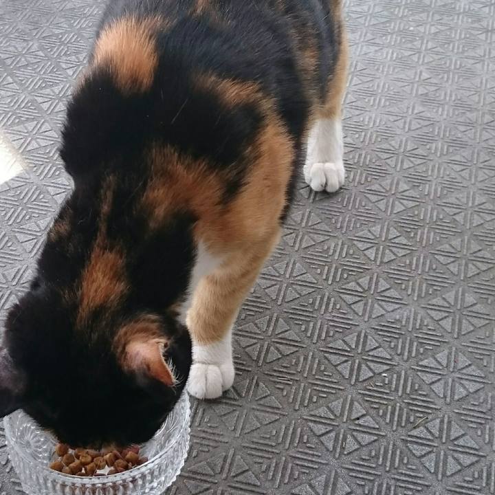 516b3a06 5575 4aec bd9f 506a5b806909