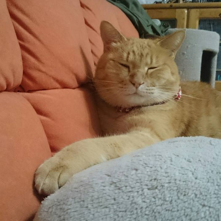 516b509c 853e 4a16 8b9b 57014726bf98