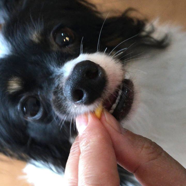 516b5159 c692 403d 8c4f 6c151fa0276b