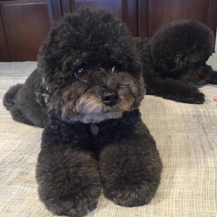 516b761f eb4c 465c b3dd 34bb67805834