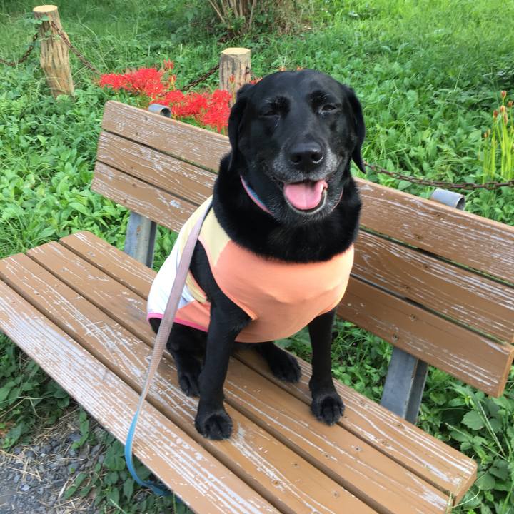 516bd1f0 94b4 4ea6 af13 2d81dda7b6a3