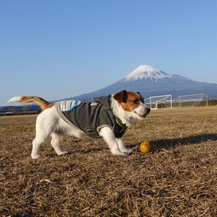 516c56df 49c9 4ba3 b0fd c6296ed00e35