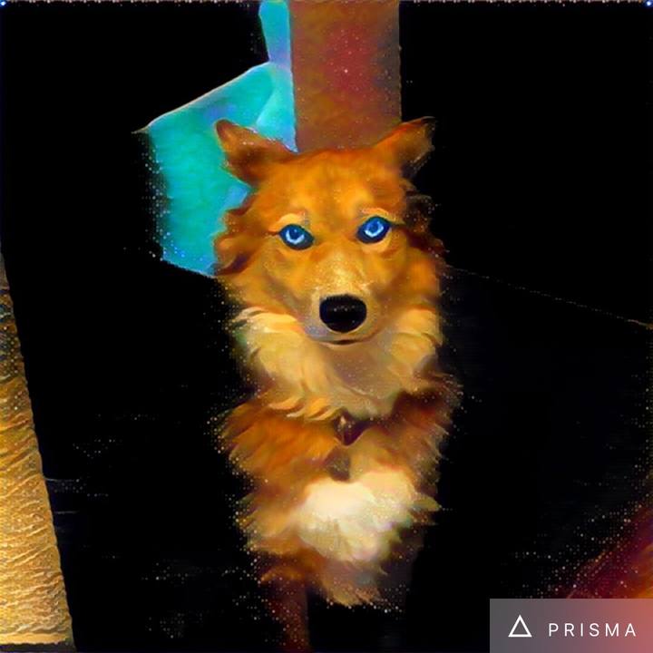 516cad3e 5cb3 47dc 896a b5962379c56f