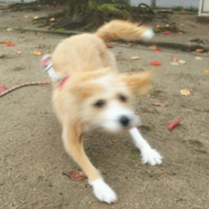 516e0f20 76af 467e b76c 137da3a686b4