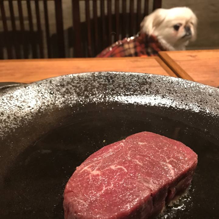 516e539e e35c 4847 87b4 cc82971abaa0