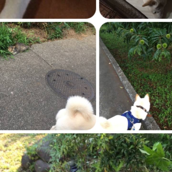 516efbf5 1799 4f5e a8d1 6b063b8729ea