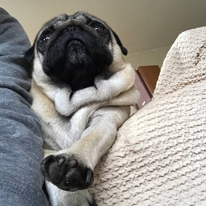 516f097a a83a 47de 9f5e 1304f329e0d7