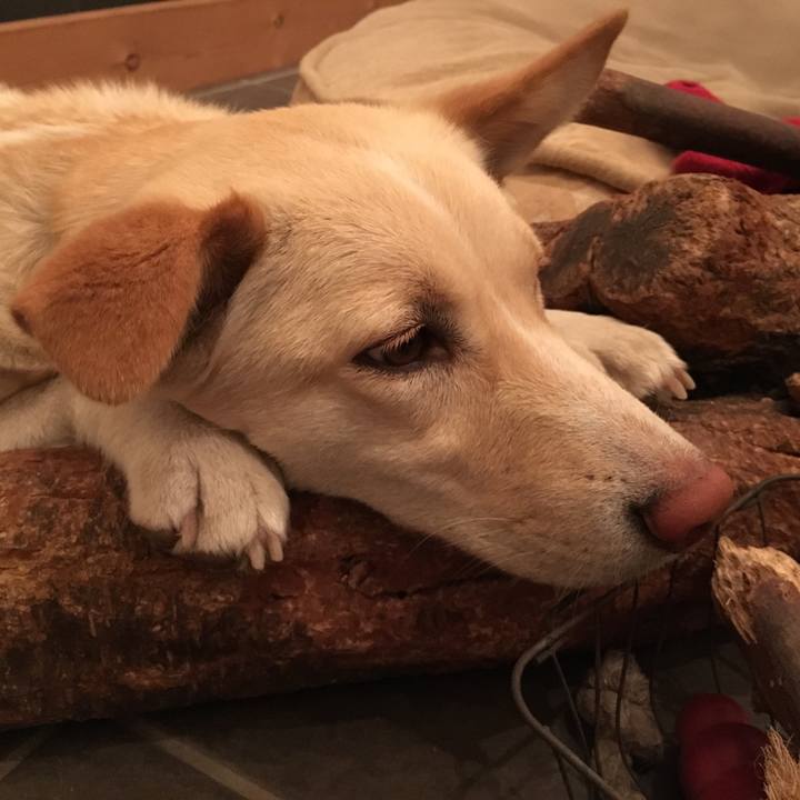 516f3422 8105 4d16 b1e9 7db4a6b895a0