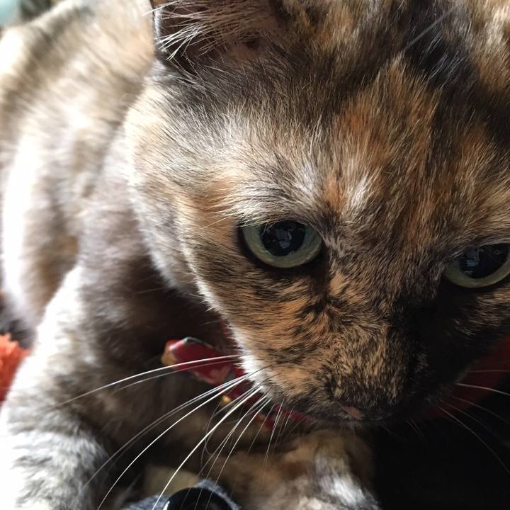 516f54b5 fef7 4885 b893 2ca2b1a8ed3f