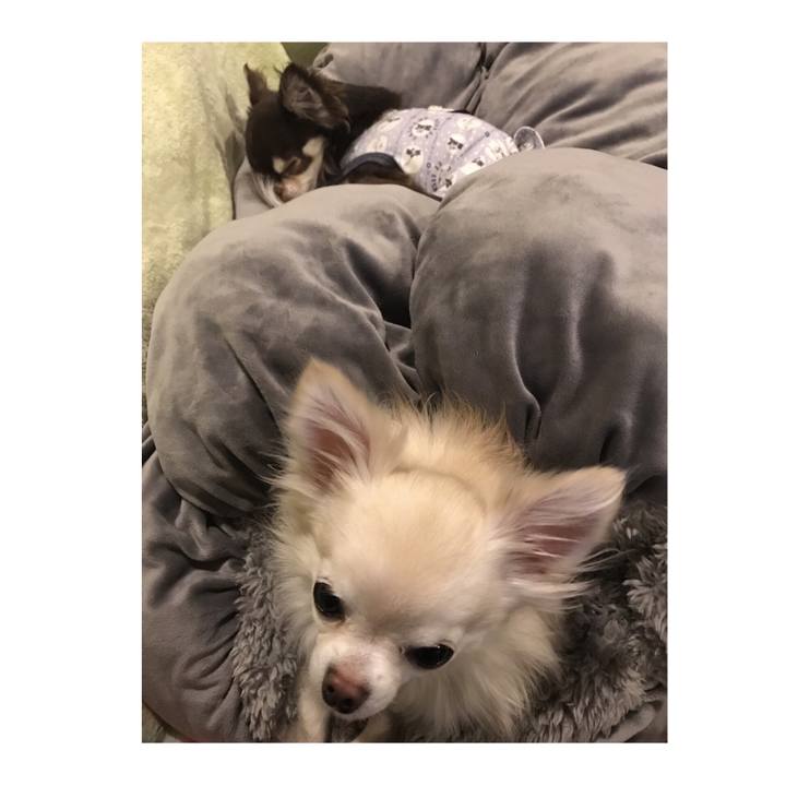 516fdf26 6884 4f91 be88 292d9b720d4b