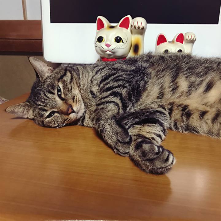 517039d6 03da 4e51 8bca 01c6f51cd493