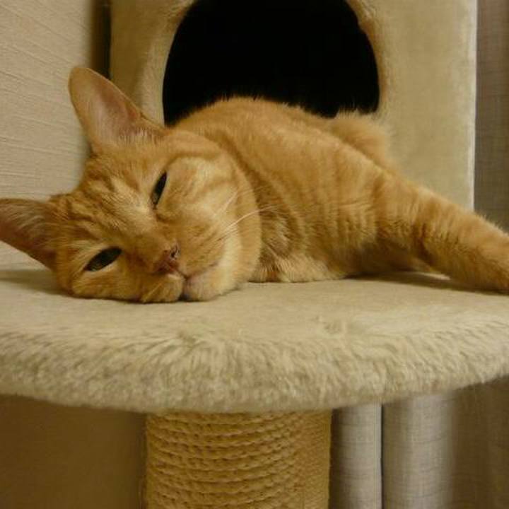 51704775 6180 49e2 ac64 9845fe4b72dc