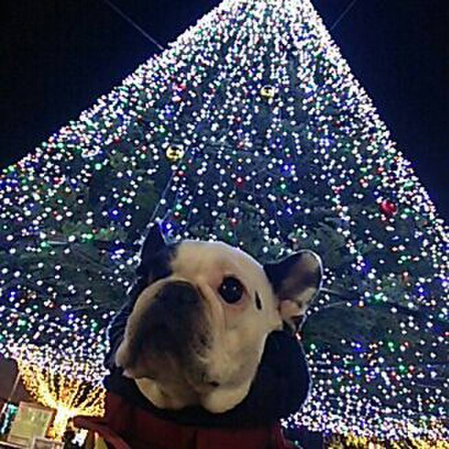 51705e0f a055 4f85 a6e2 4cfe4144fe7c