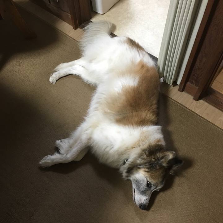 51715fdf a3e8 4135 9136 6d7ad494606e