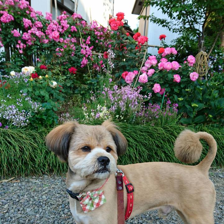 5171a83a b879 4ad0 8571 c1a5b01e126b