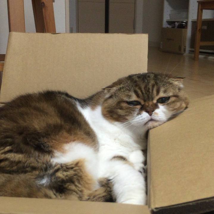 5171f51e 642f 40ed 90c8 d5f03dae3c76