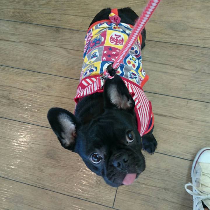 5172755a f8ae 4c27 889a 076eff6e012d