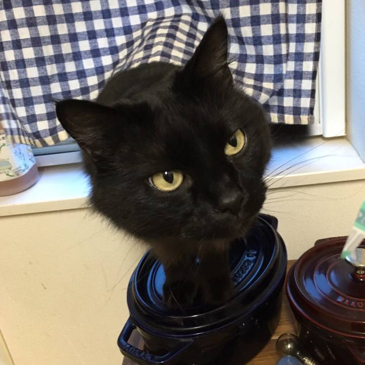 5172897c ac0d 4e92 9a58 2c66fd87fcb1