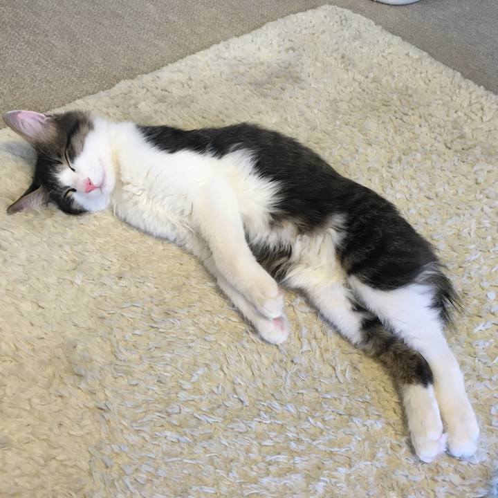 5172a76e 332b 40e1 80cf bda5a4c6359d