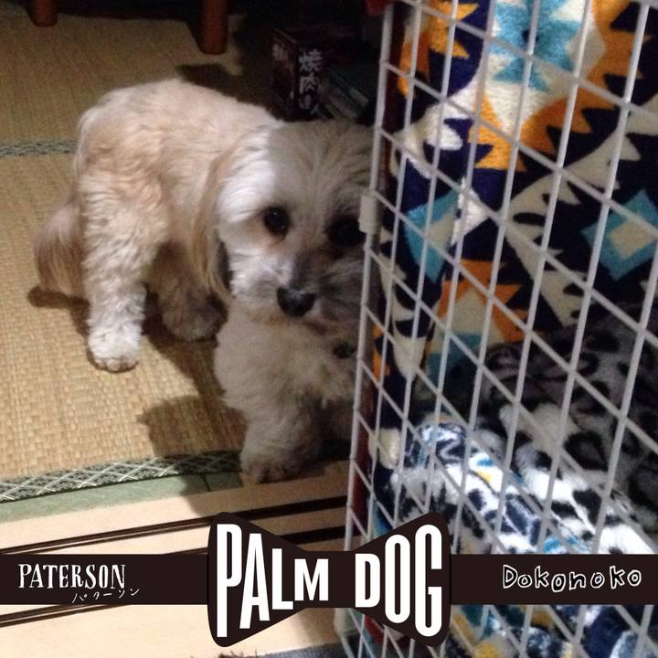 5172eb76 c17a 4f65 b699 fa51bff04945