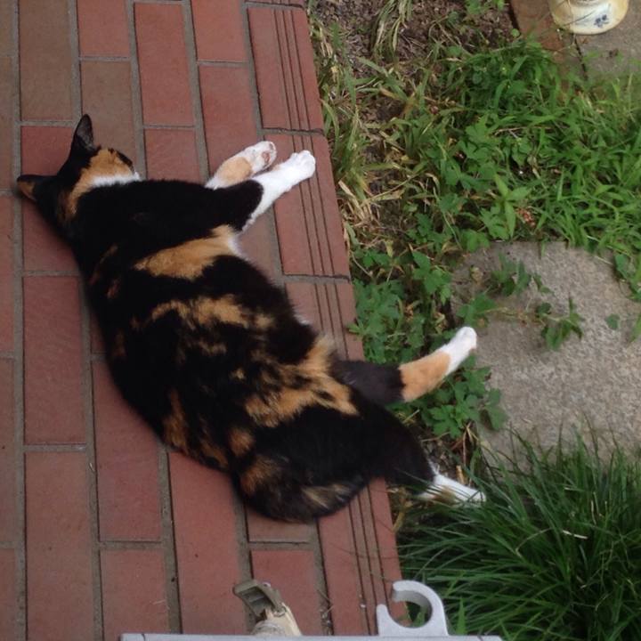 5173a961 98af 4c6e 80d9 e8fed4581edd