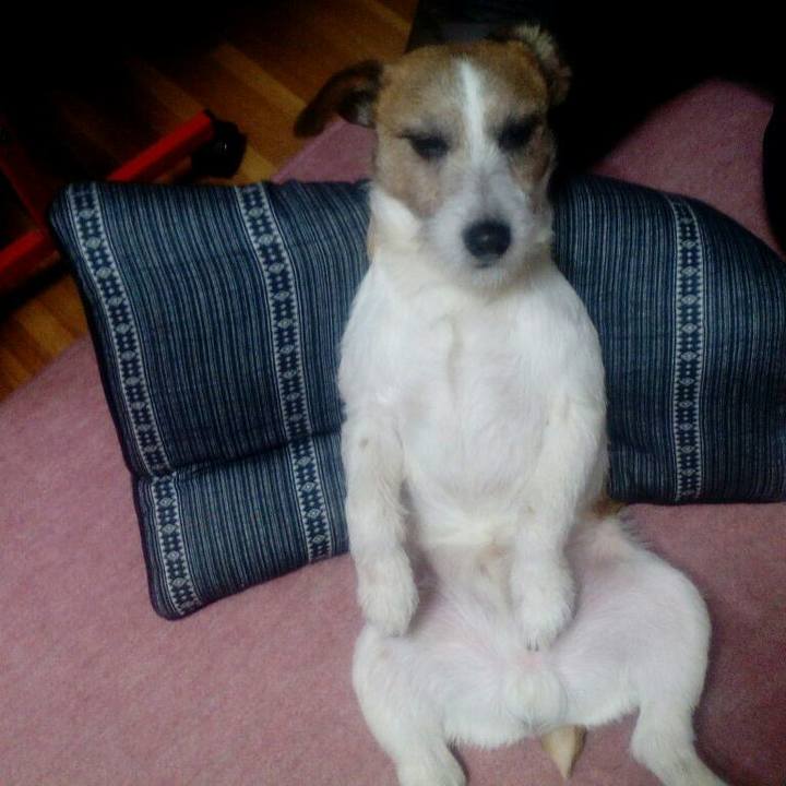 51740e39 09f6 4a03 886e 67eb1355c6e5