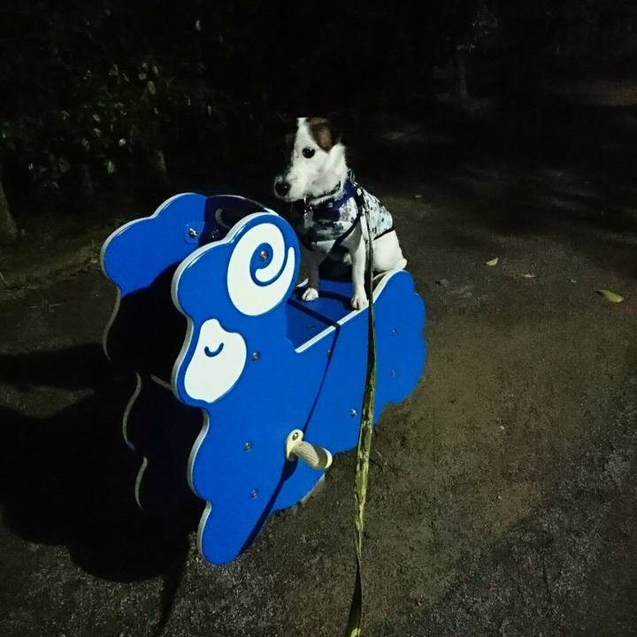 51743264 1e2e 443f a6a8 ae4c8b53a8f9