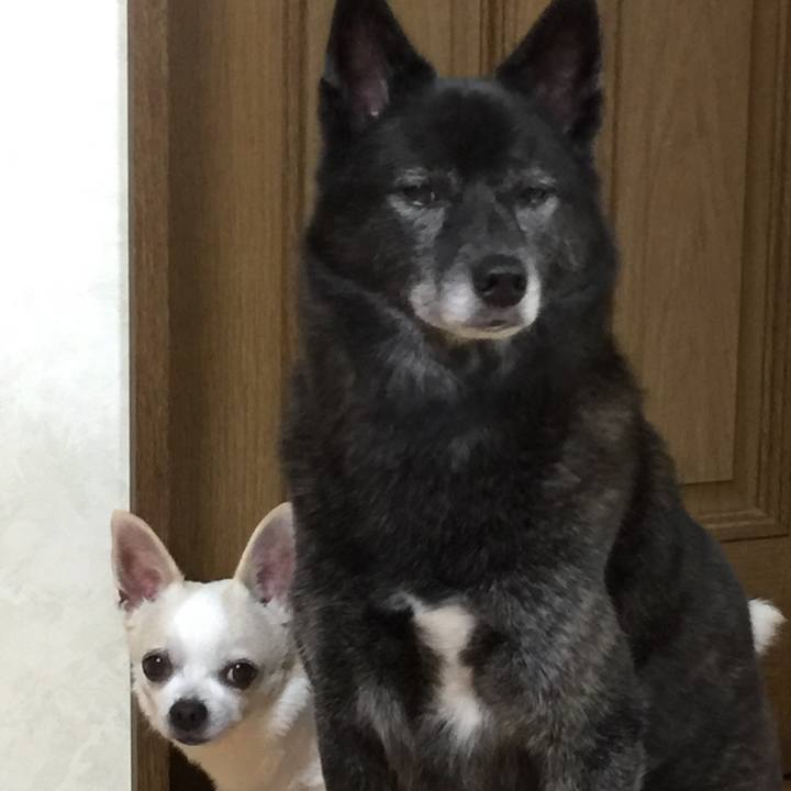 517441f1 23a2 44b4 9e9f 6e4c3a66039e