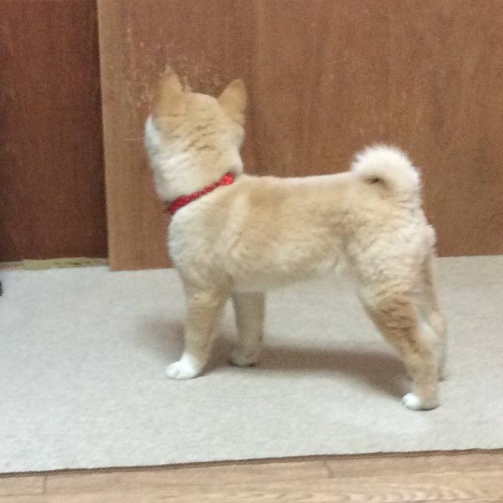 5174ad78 69cf 4657 b69e 1523077e0f39