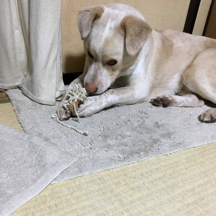 5174cd03 f35a 429d 880e 2dfc4a27d616